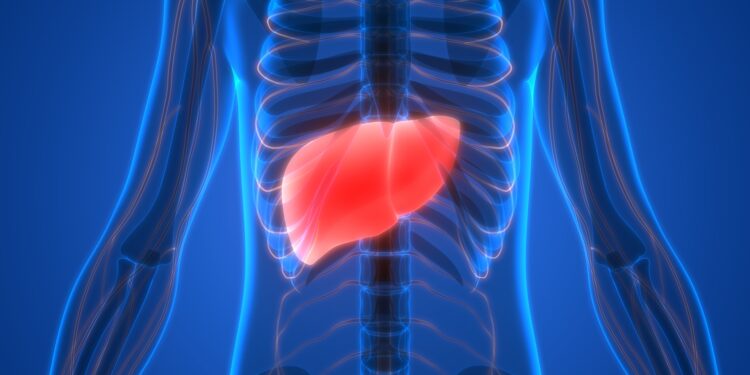 ЭЛЭГ ТАНЬ ХОРДСОН БОЛОХЫГ ИЛТГЭХ 6 ШИНЖ ТЭМДЭГ￼