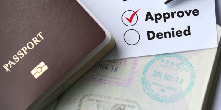 Цахим виз мэдүүлсэн гадаадын иргэдийн тоо хоёр дахин нэмэгджээ