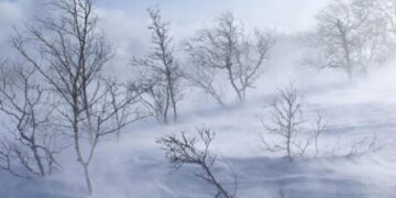 Нийт нутгийн 80 хувьд цасан бүрхүүл тогтжээ